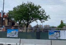 UN INOVADOR ESPACIO PARA NUESTROS ARTISTAS ABRIRÁ EN PASEO BORICUA