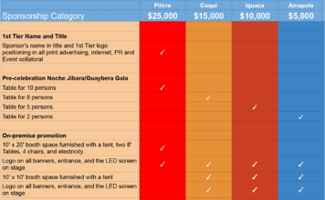 Fiesta Boricua Sponsorship levels